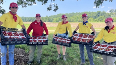 the crew at work in the fields