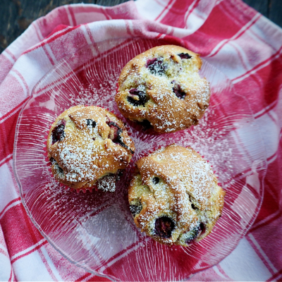 Blueberry Muffin