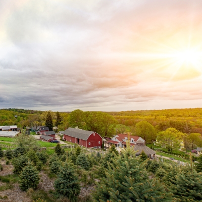 Spring at the Winery