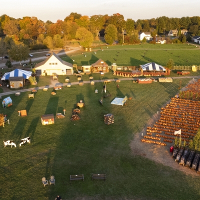 Pumpkin Farmyard near sunset