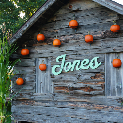 Pumpkin Photo Op 