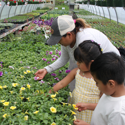 Family browsing flowers in our greenhouses 