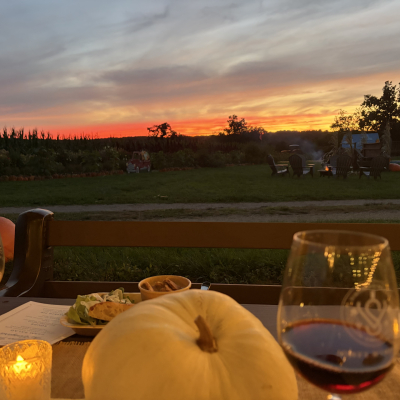 Enjoying wine at Pumpkinseed Hill