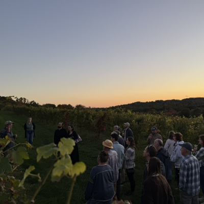 Sunset Vineyard Tour