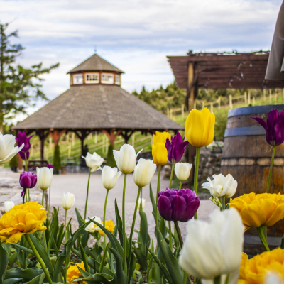 Flowers In Front of the Gazebo