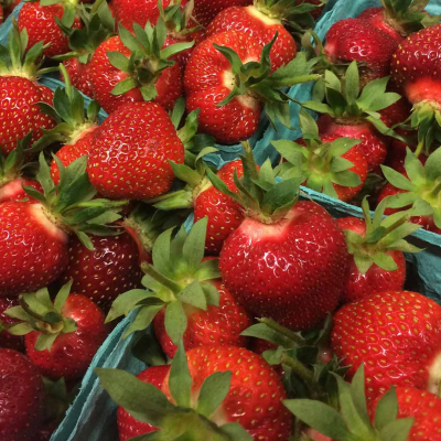 jones-family-farms-strawberries