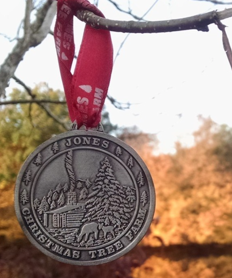 JFF 1990s one ornament hanging on a tree in front of the pond