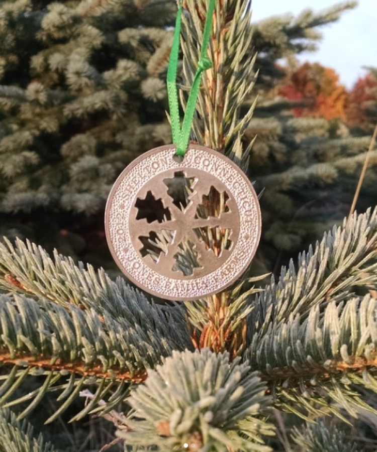 2014 Christmas ornament