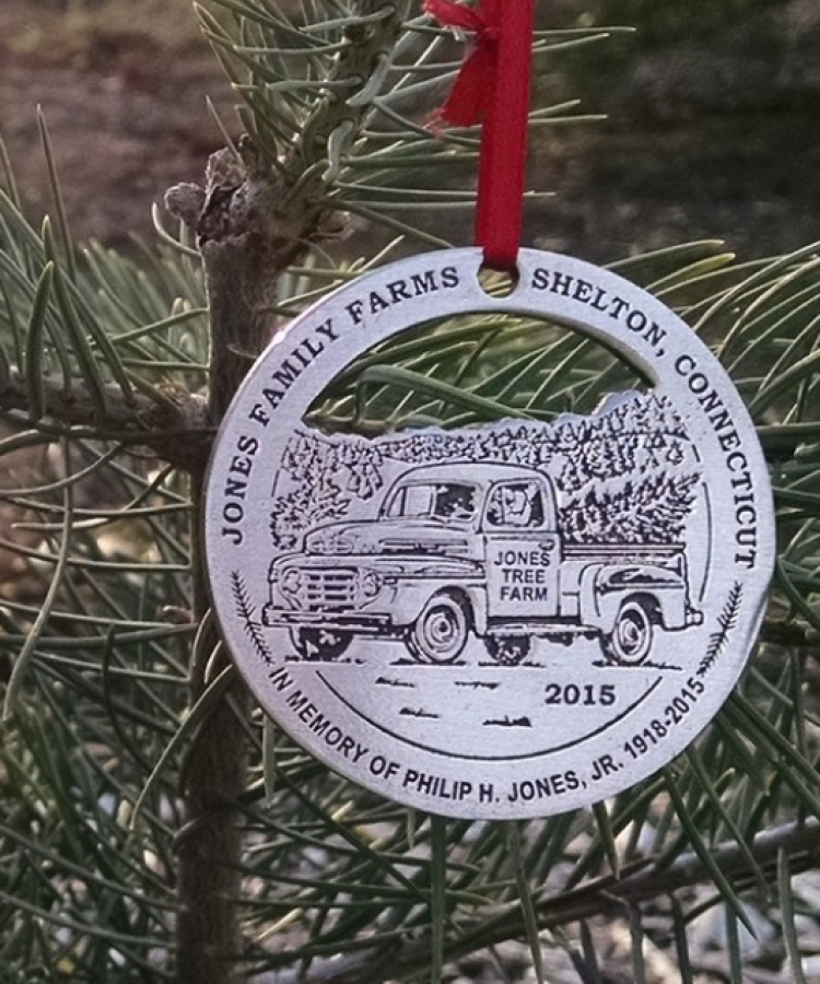 2015 ornament hanging on a Christmas tree