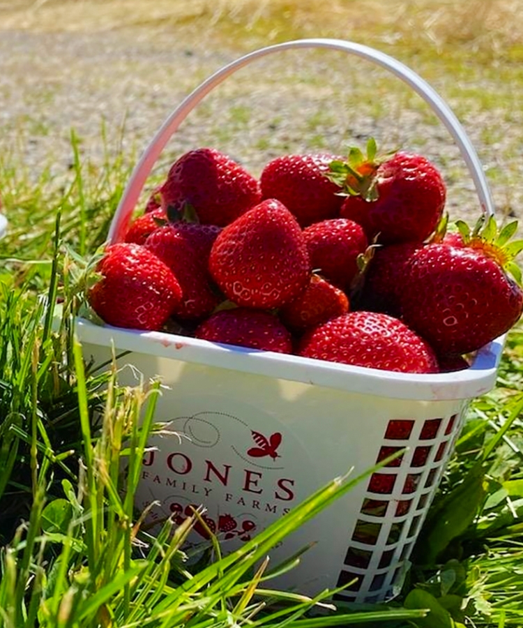 three baskets of strawberries