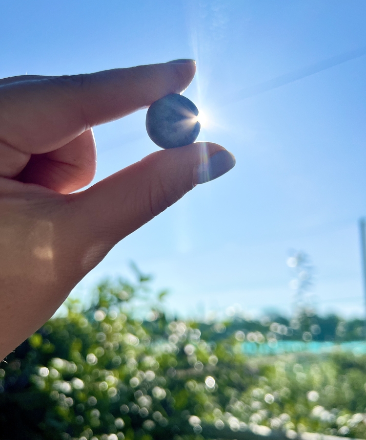 blueberry between thumb and index finger blocks the sun