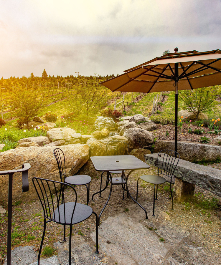 Winery outside seating